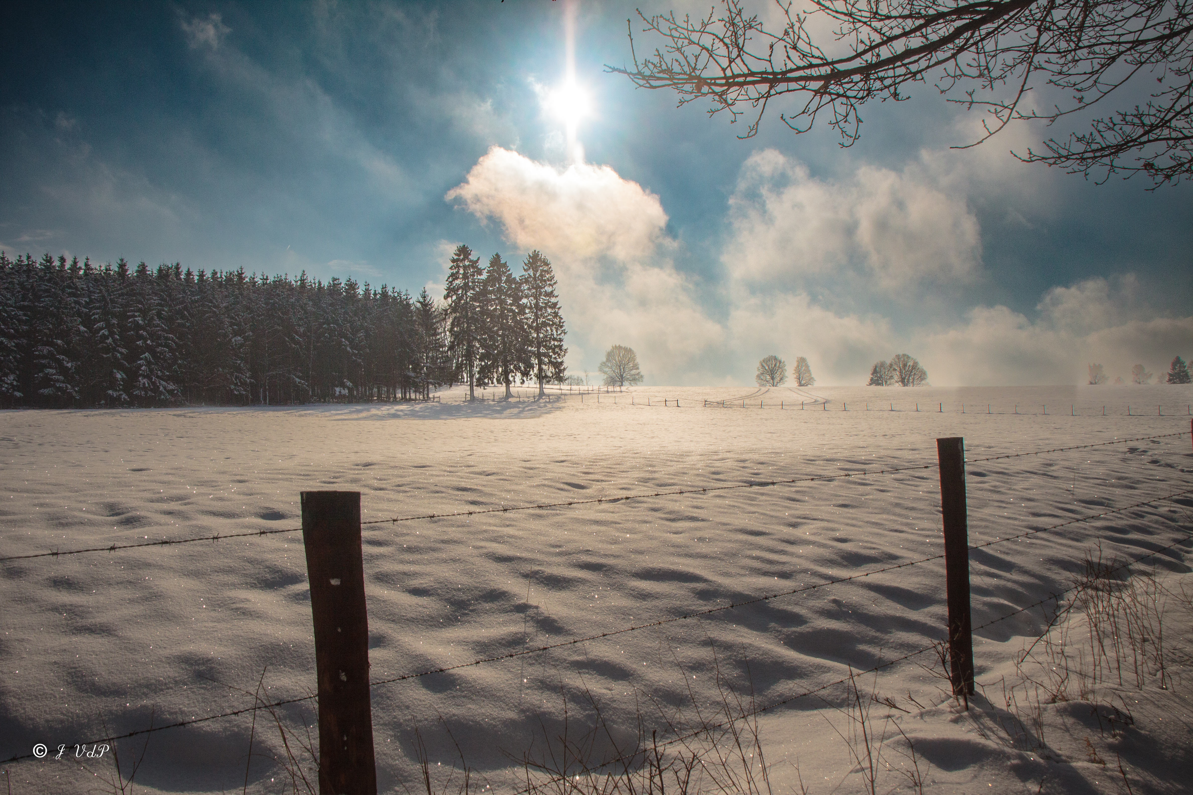 winter
