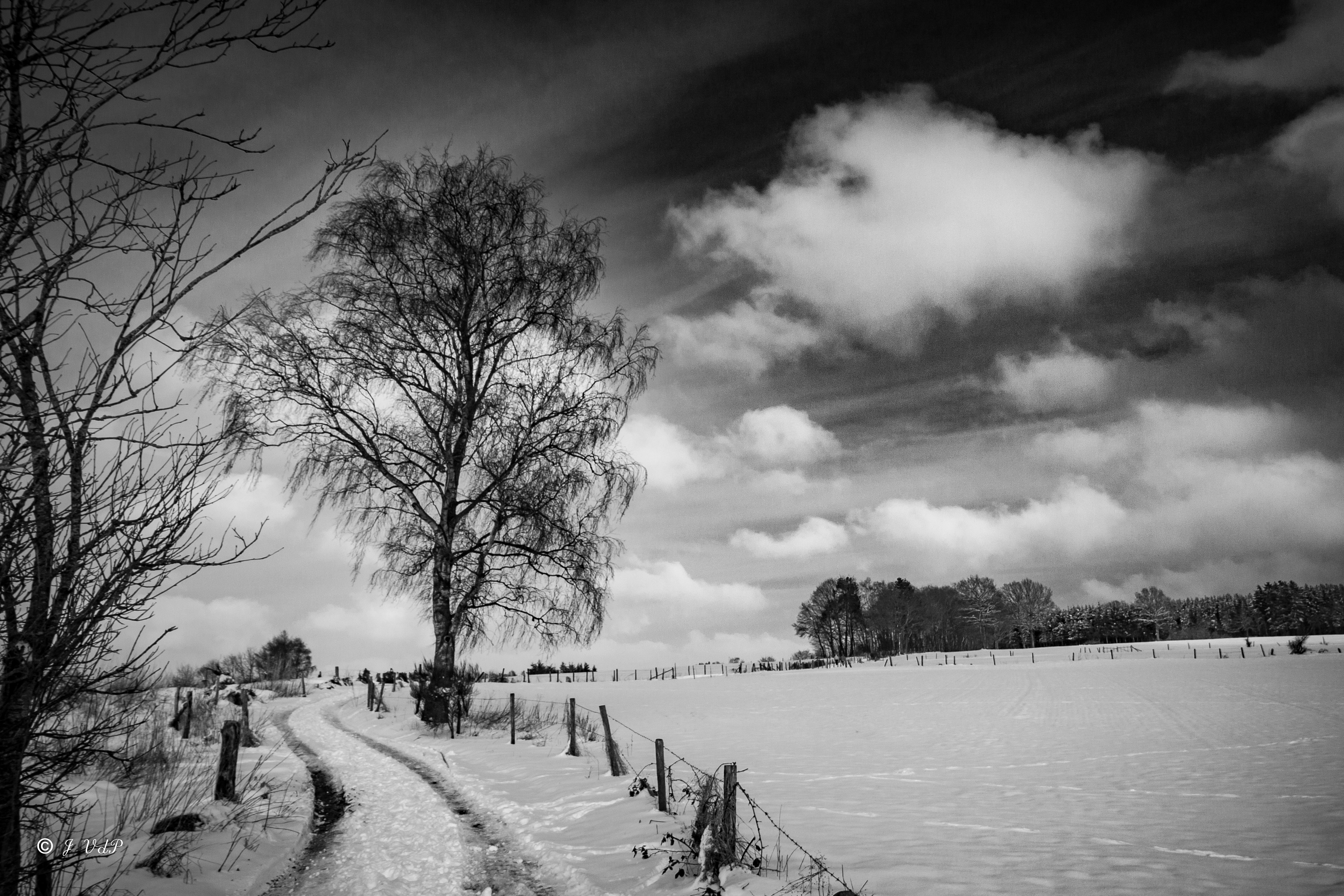winter boom 